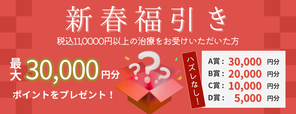 1月の新春福引きキャンペーン