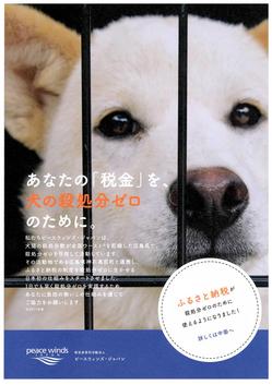 ふるさと納税で犬の殺処分ゼロに