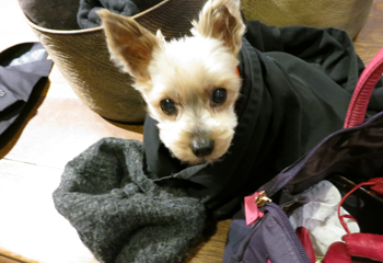 casper20130114.jpg