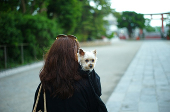 kamakura3.jpg