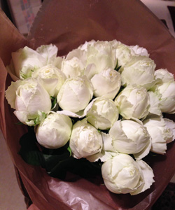 white_flowers