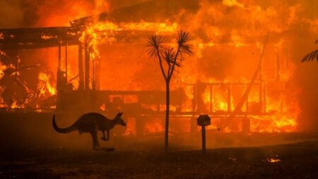 オーストラリアの火事のこと