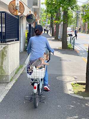 自転車で出かけるとき