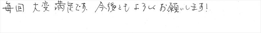 ヒアルロン酸治療コメント