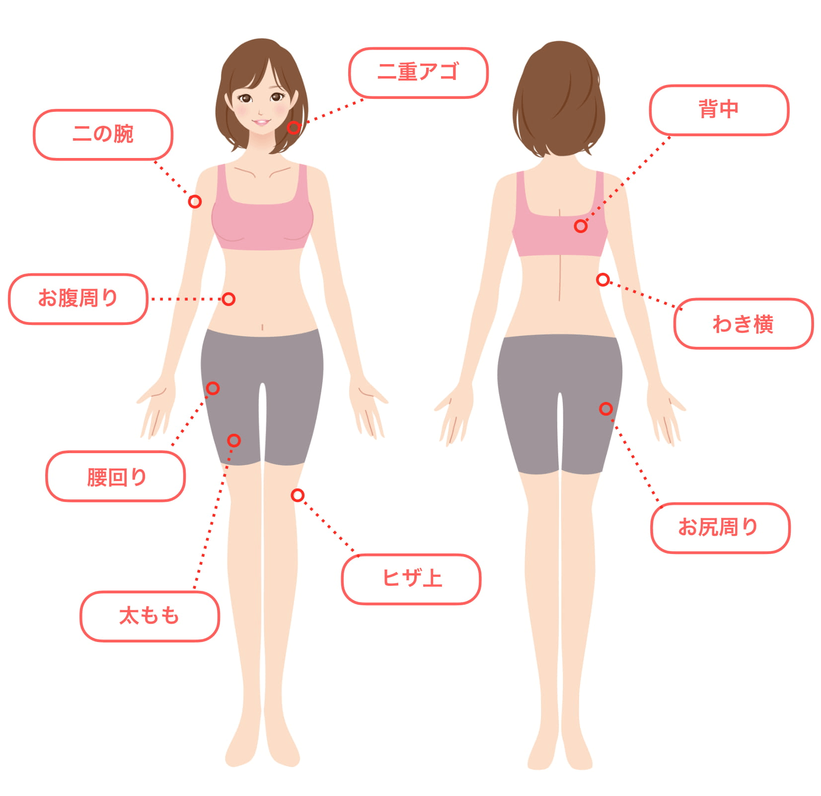 クリスタル部分痩せ治療