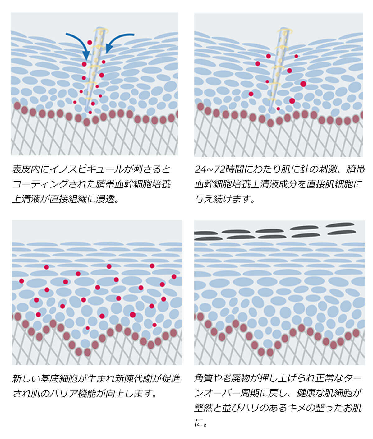 ハリ美容V3エキサイティングファンデーション