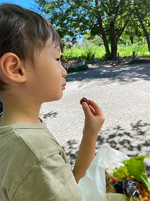 子供の夏休み公園