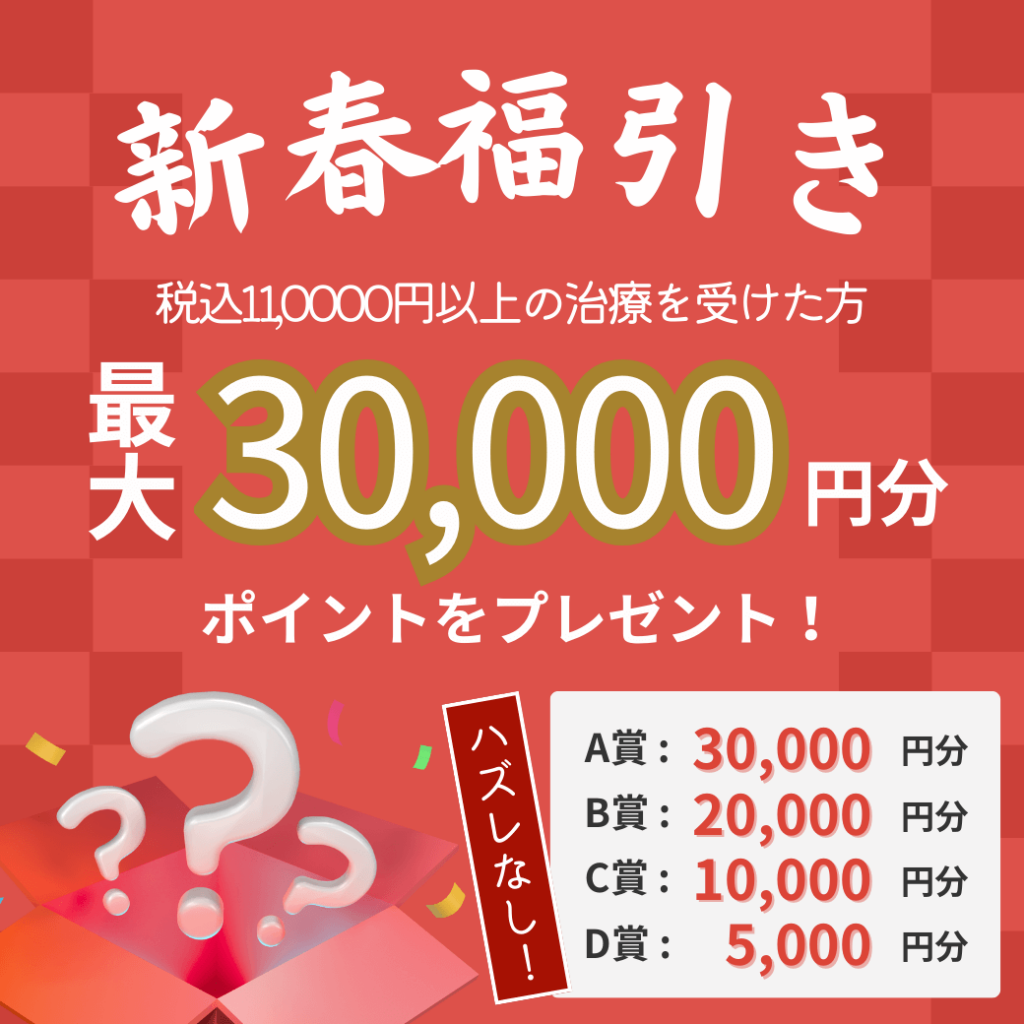 1月新春福引きキャンペーン