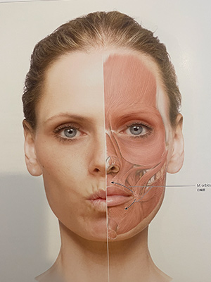 唇ヒアルロン酸