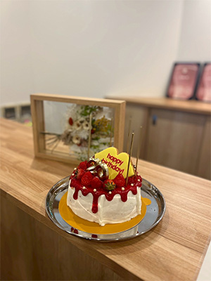 20周年を迎えました！