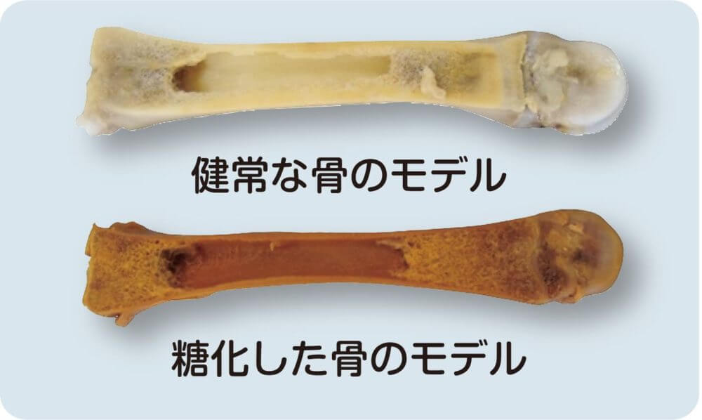 久々にAGEsを測ってみました..