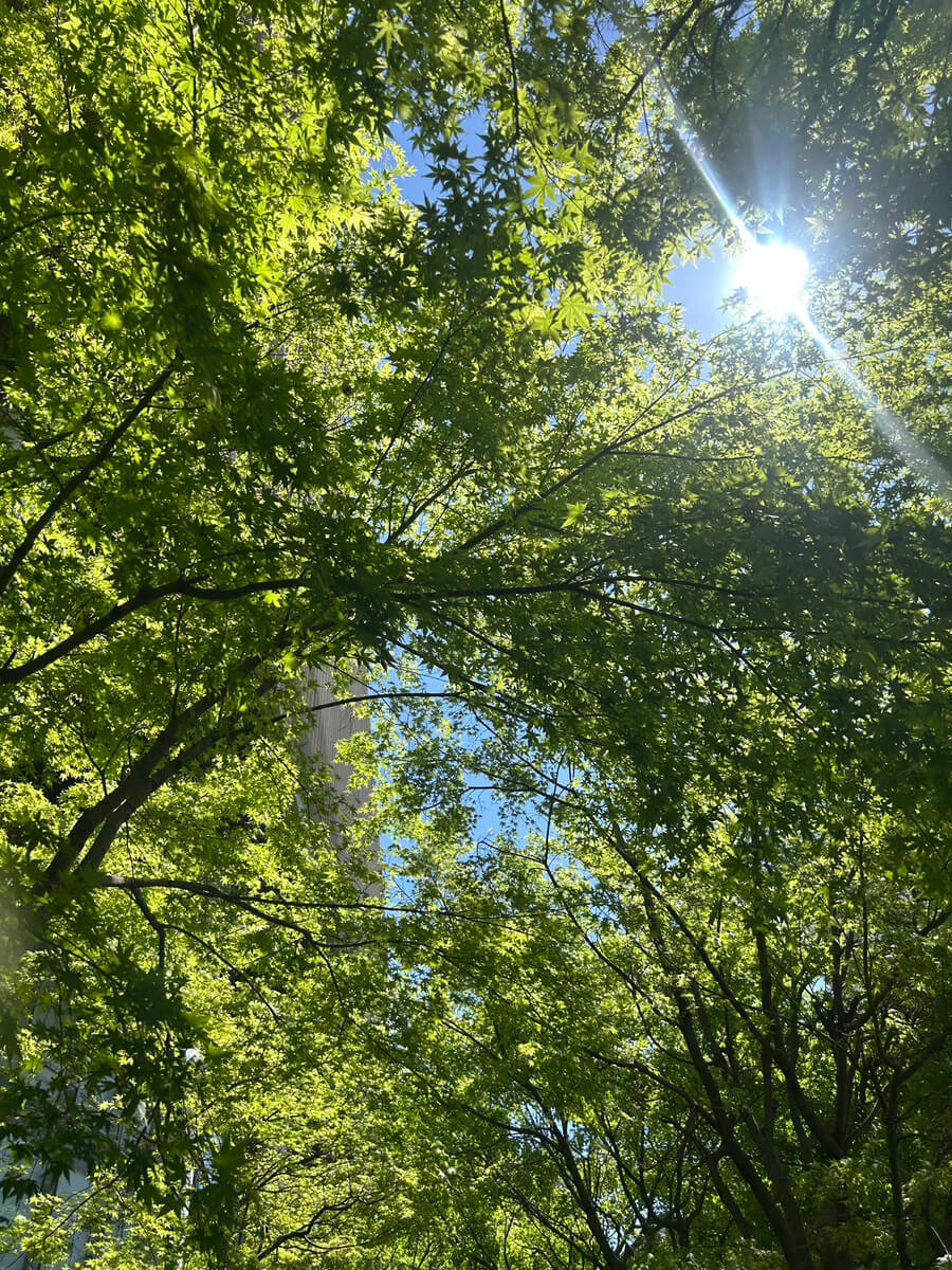 入学式コーデも美容医療もコスパが大事！