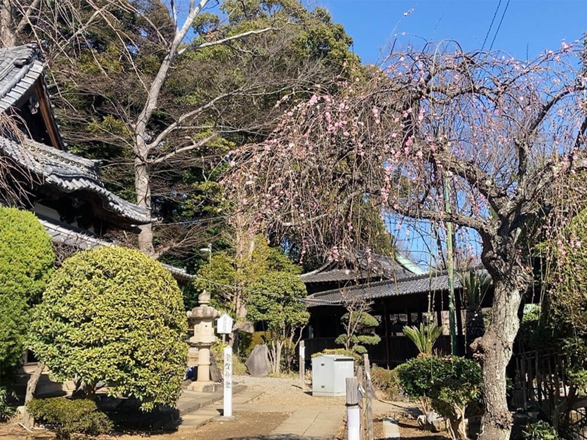 法華経寺