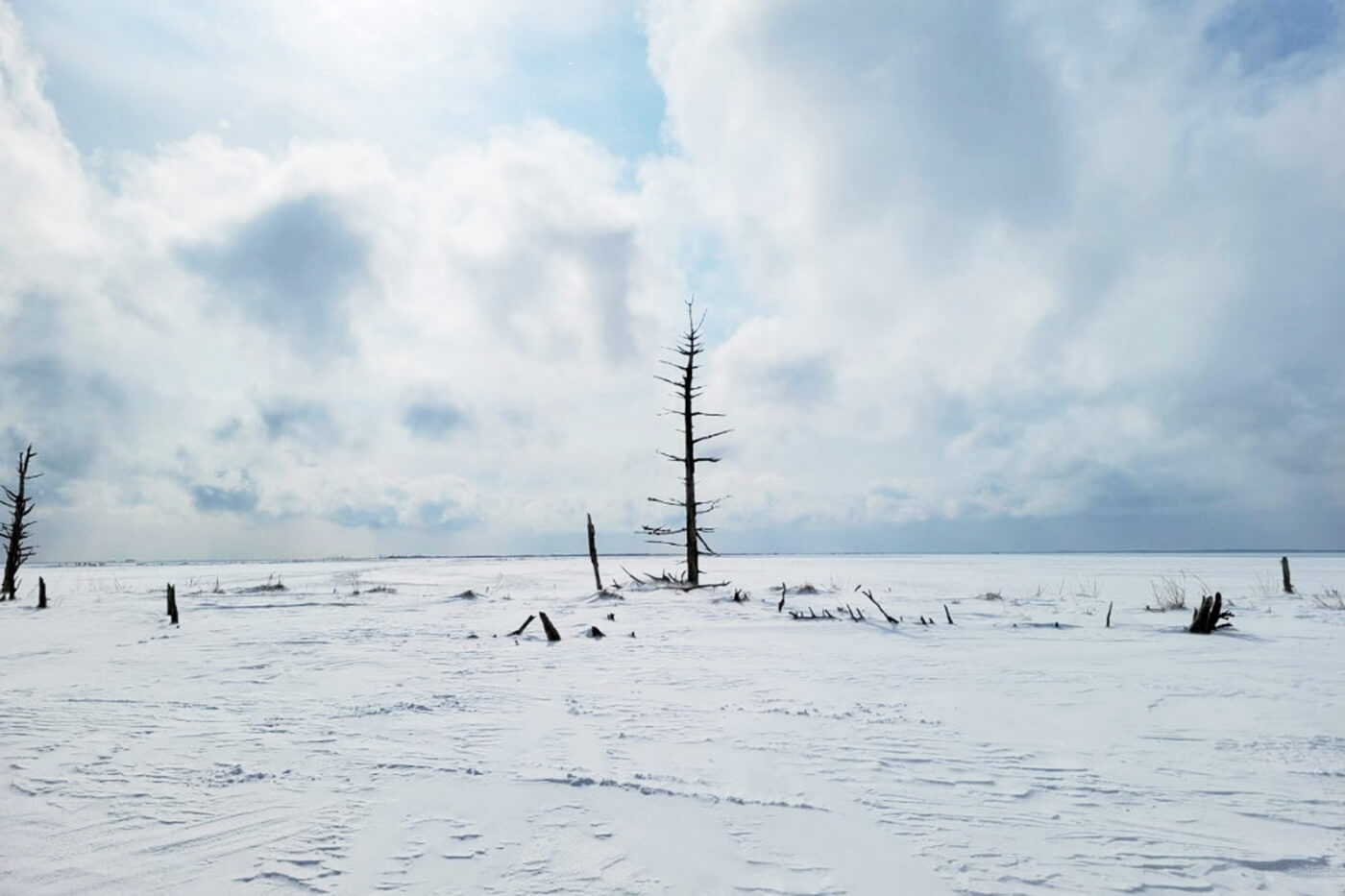 北海道旅行