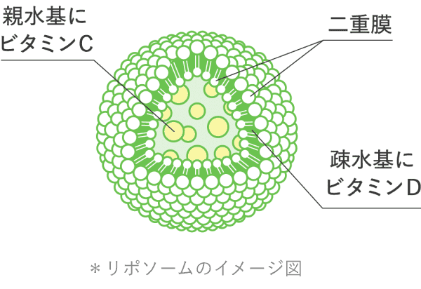 リポCビタミンD入り