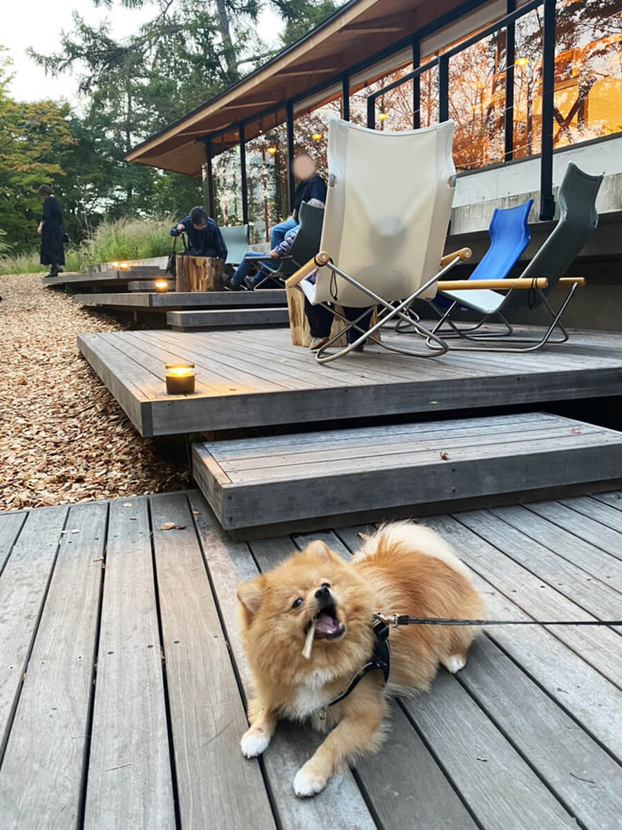 秋は🍂シミ治療の季節です！