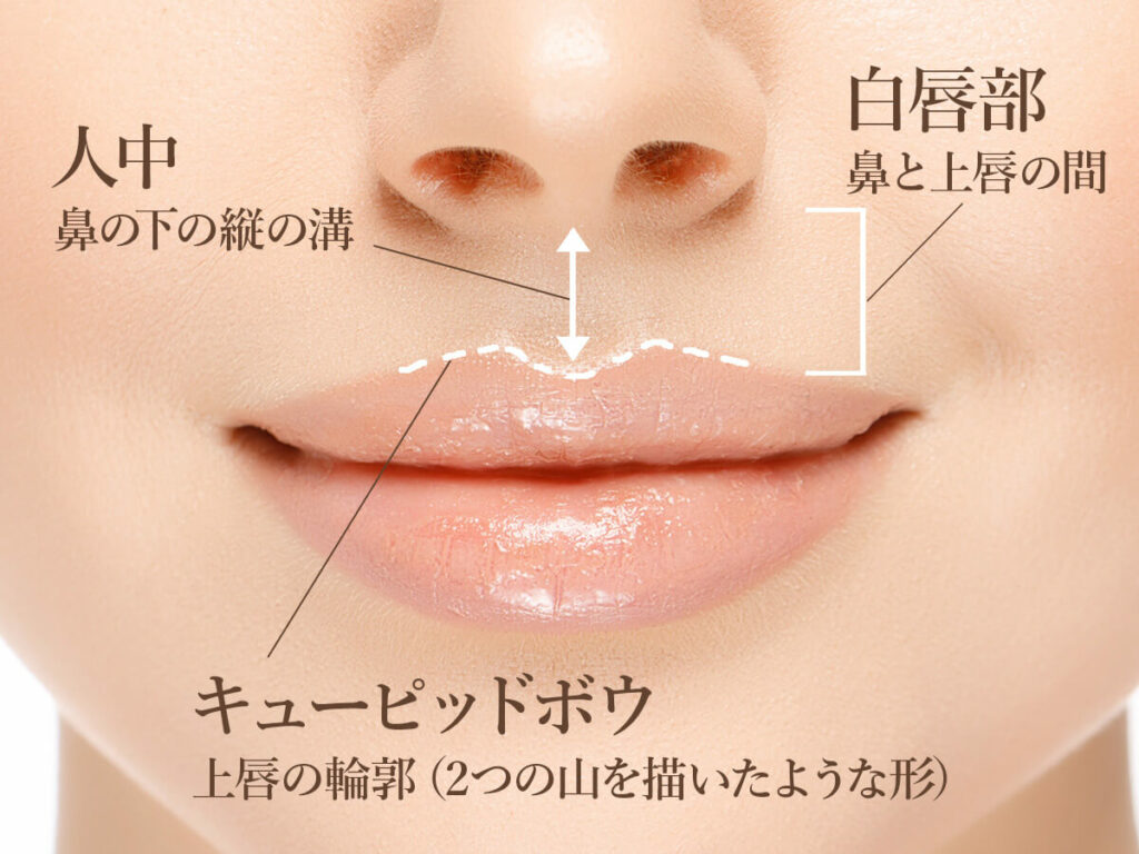 大人の綺麗なリップ👄