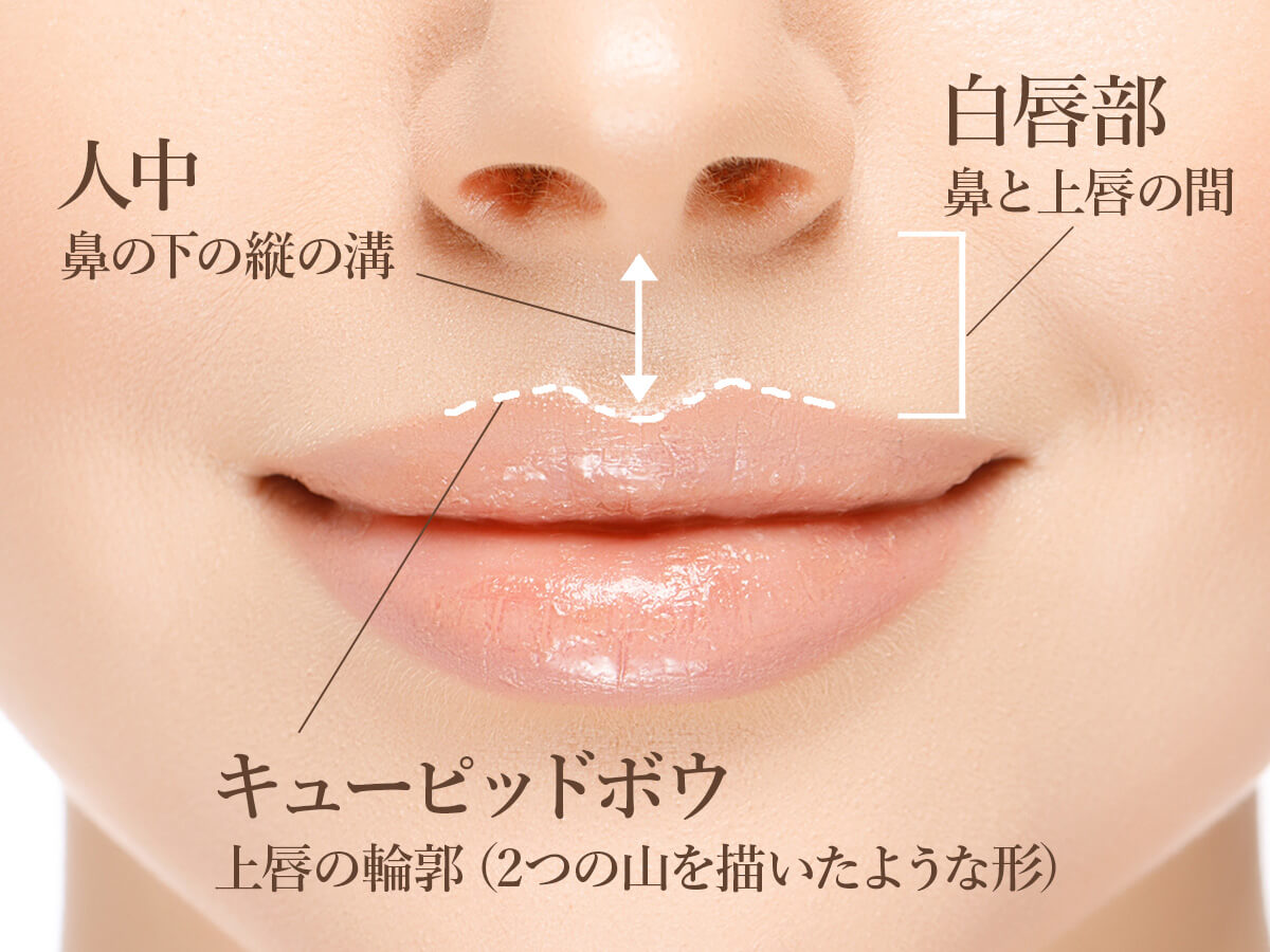 大人の綺麗なリップ? - 東京 渋谷 美容皮膚科 マグノリア皮膚科クリニック