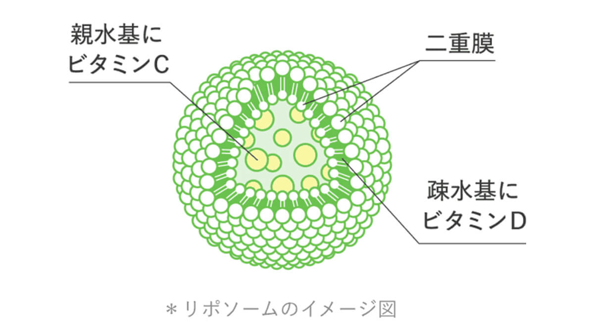 リポC＋Dのリポソーム