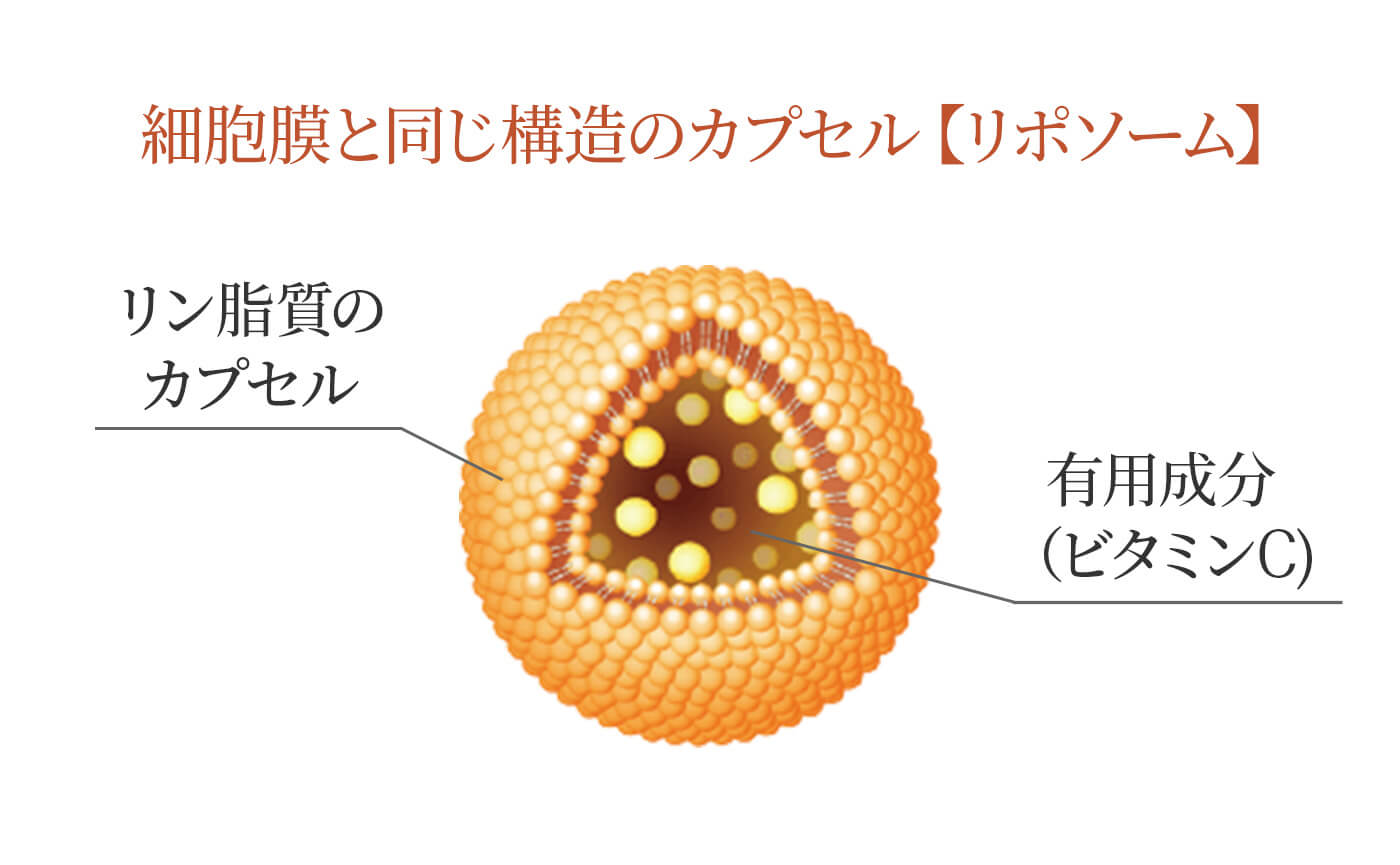 季節の変わり目に「Lypo-C」