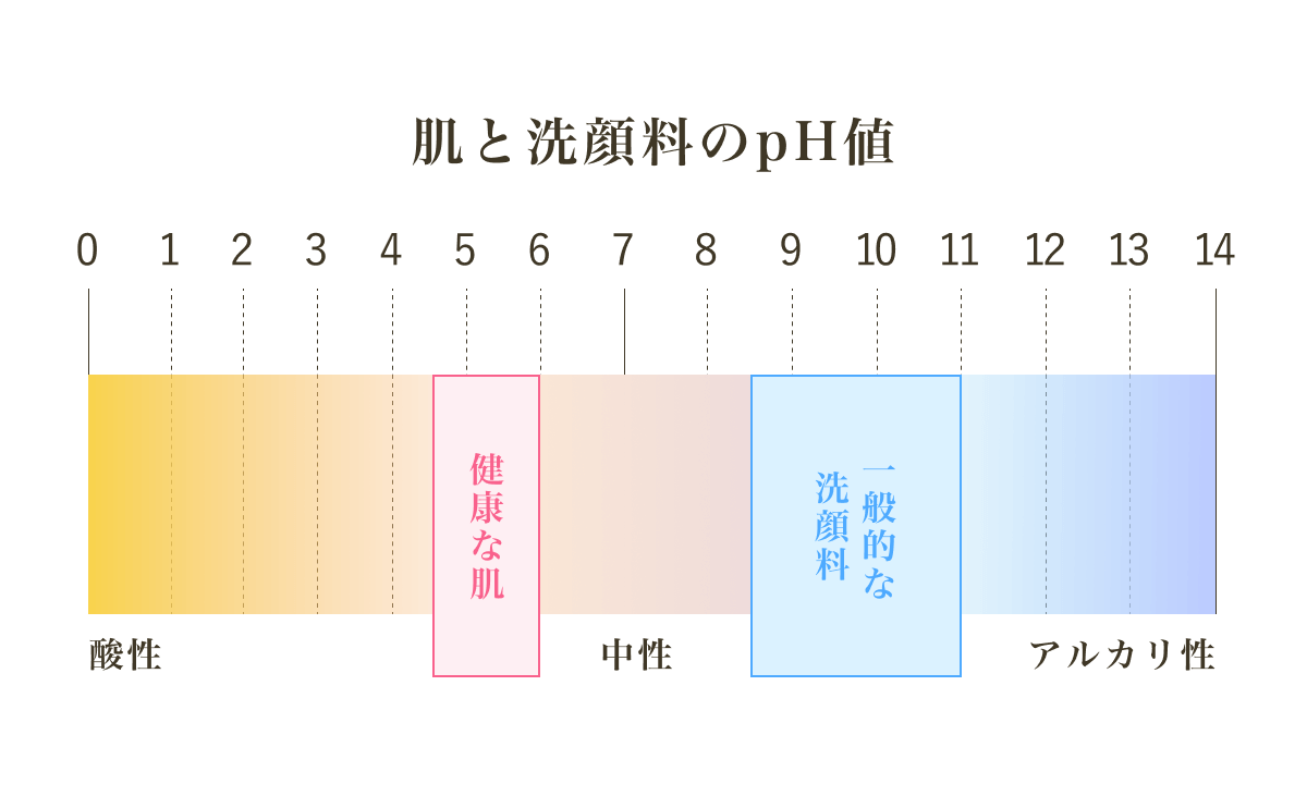 肌と洗顔料のph値