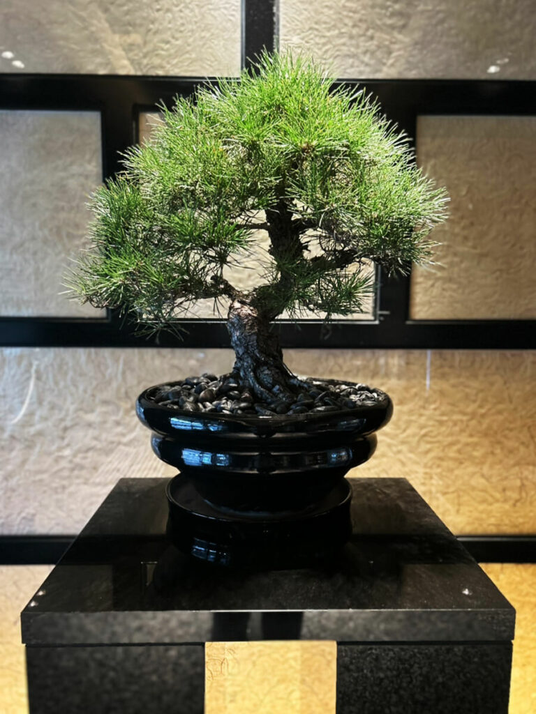 2025年の年始めは餅つき大会でした✨..