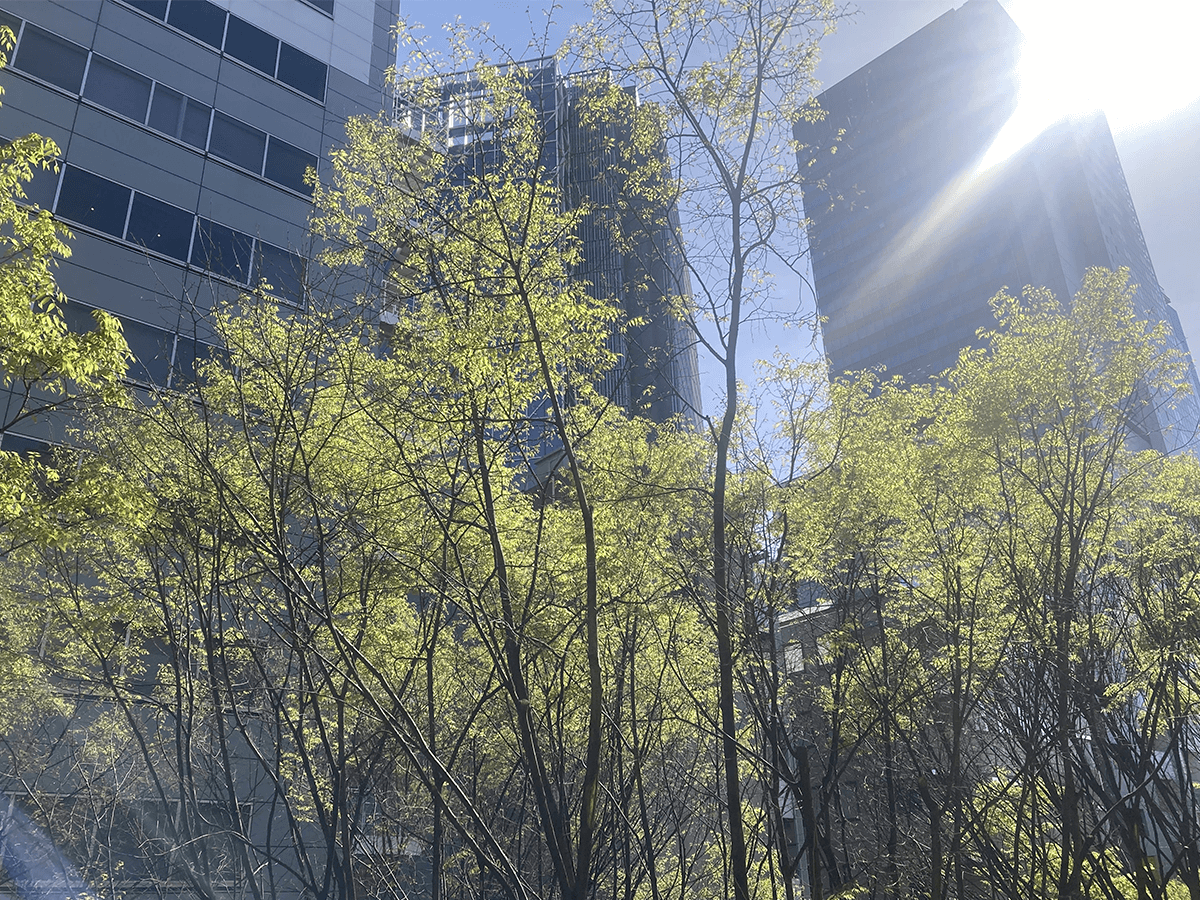 渋谷風景