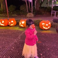 ハロウィンナイト