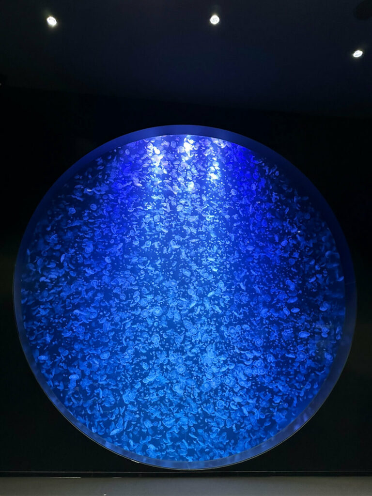 加茂水族館